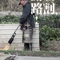 《收割，問路！》 陳浩倫